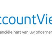 accountview review