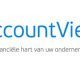 accountview review